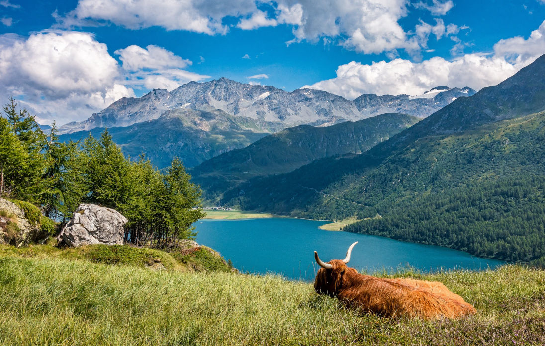 Die schönsten Berghütten und Seen - Alle Ferienhäuser in der Schweiz